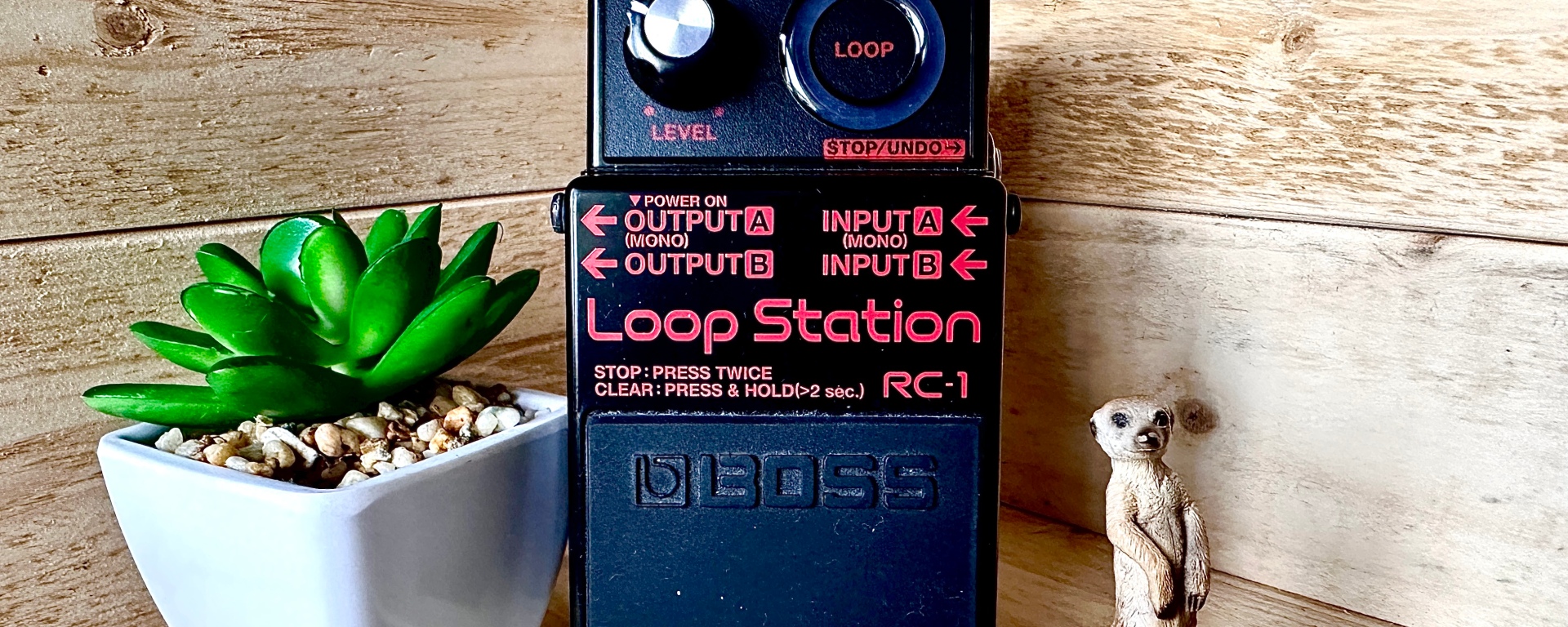 BOSS RC-1 Loop Station Pedal